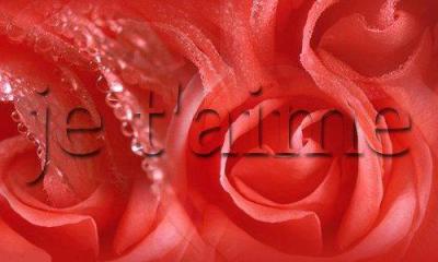 j t'aime